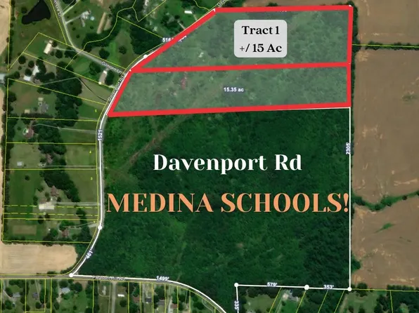 TRACT One Davenport Rd, Medina, TN 38355