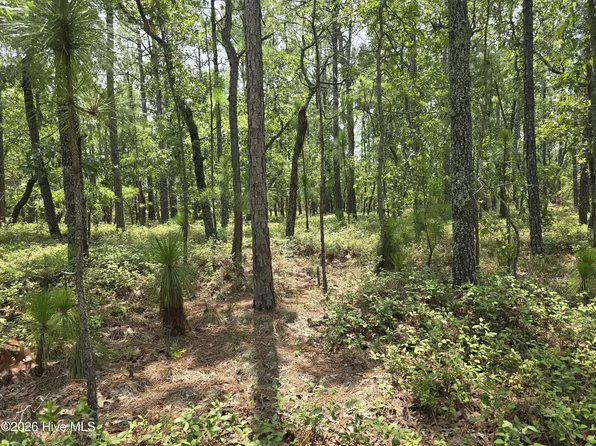 LOT 10 Woola Woola Ln, Grantsboro, NC 28529