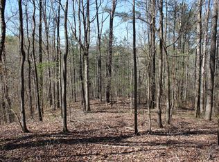 1725 Cherokee Gold Trl LOT 19, Ball Ground, GA