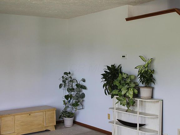 4th image of 3544 Vintage Woods Dr