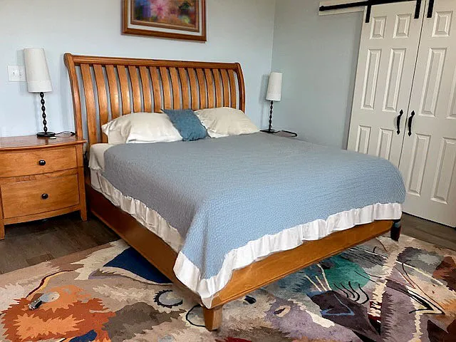 Large bedroom with king size bed and large walk in closet