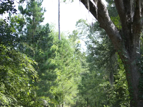 0 Highway 200, Damascus, GA 39841