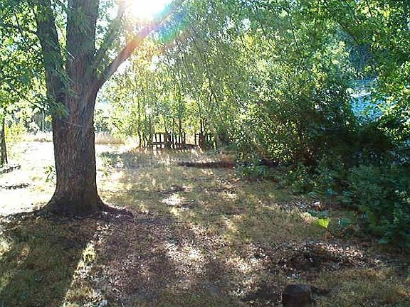 back yard