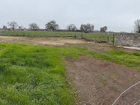 Pasture area behind house