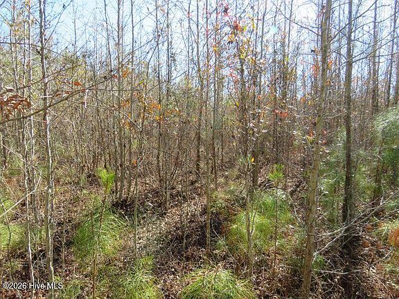 4th image of 8.3 Acres Glory Light Road