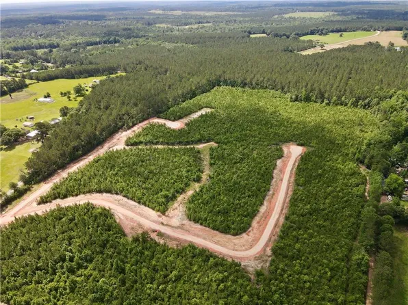 PARCEL 4 Highway 436, Franklinton, LA 70438