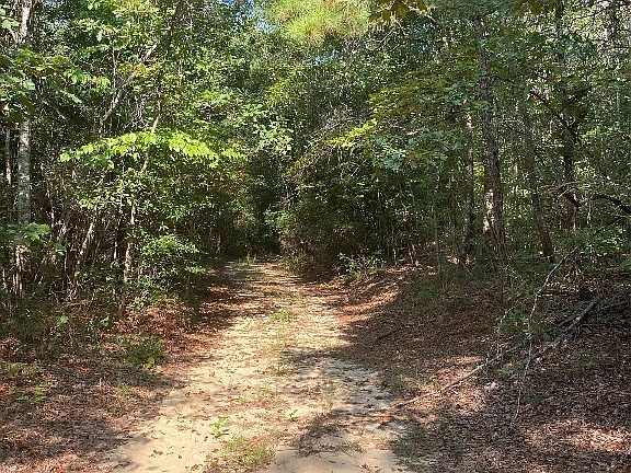 5th image of 1744 County Road 57 Rd