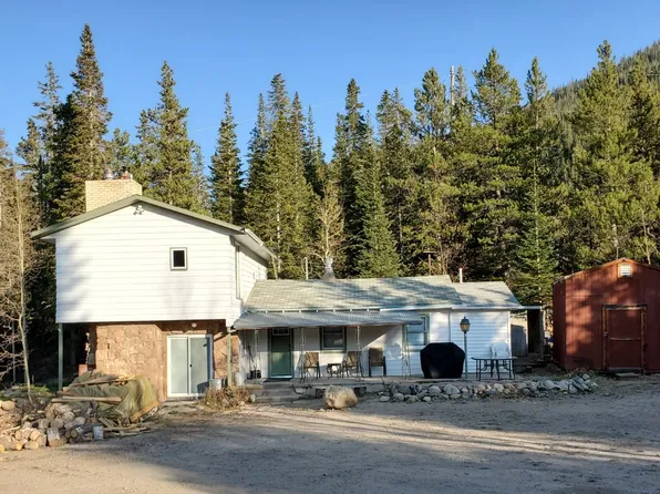 116 E Bakerville Rd, Silver Plume, CO 80476