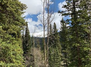 845 Peterson Dr, Alma, CO 80420