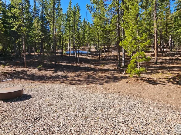 2320 Ottawa Way, Red Feather Lakes, CO 80545