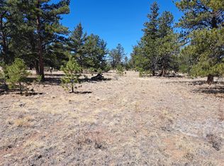 235 Maricopa Trail, Hartsel, CO 80449