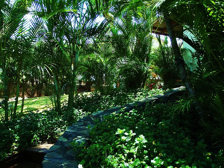 270 Auhana Rd — Photo 4