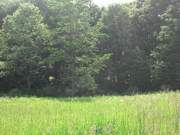 4th image of Wildwood Trl