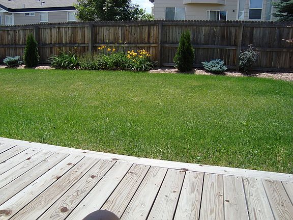 backyard view from house