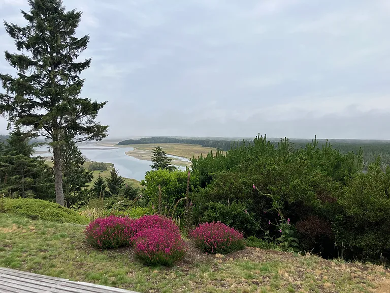 7800 Brooten Mountain Loop — Photo 4