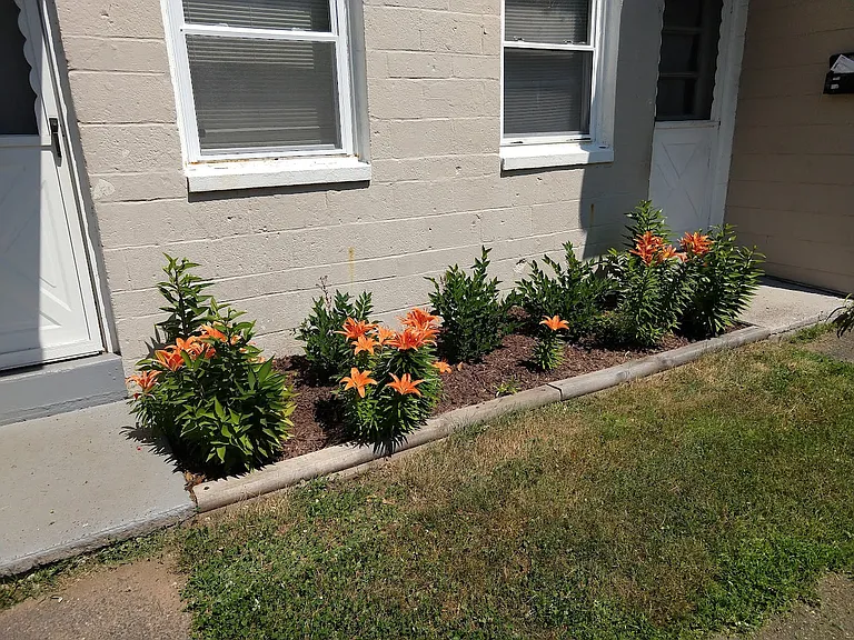 21 Cannon Rd — Photo 9