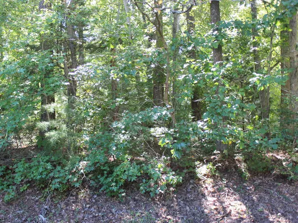 2041 Neptune Ct #2041, Greenbackville, VA 23356
