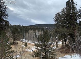 345 Wellington Dr, Cripple Creek, CO 80813