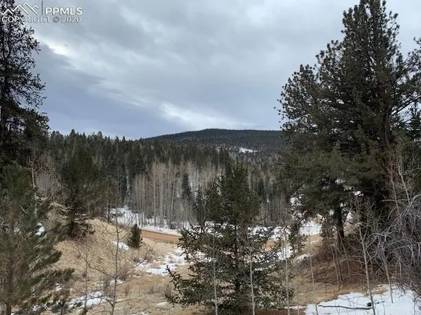 345 Wellington Dr, Cripple Creek, CO 80813