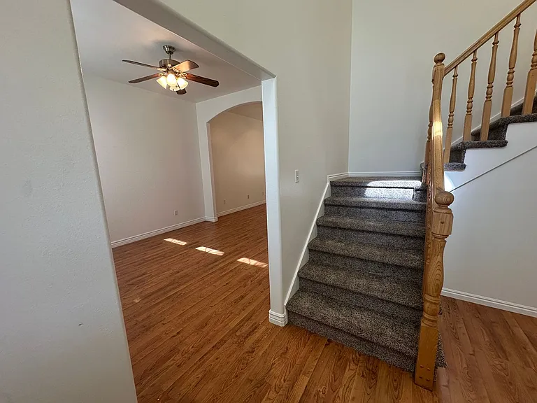 2511 Goodnight Dr — Photo 14