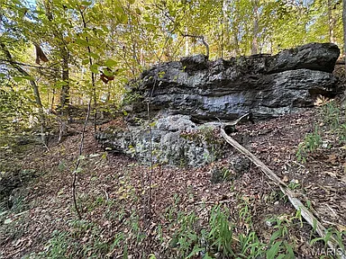 Property photo 86