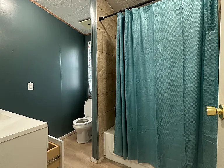 317 Maple St — Photo 4