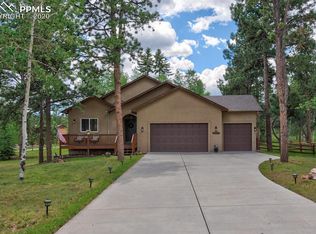 1301 Snowshoe Ct, Woodland Park, CO 80863