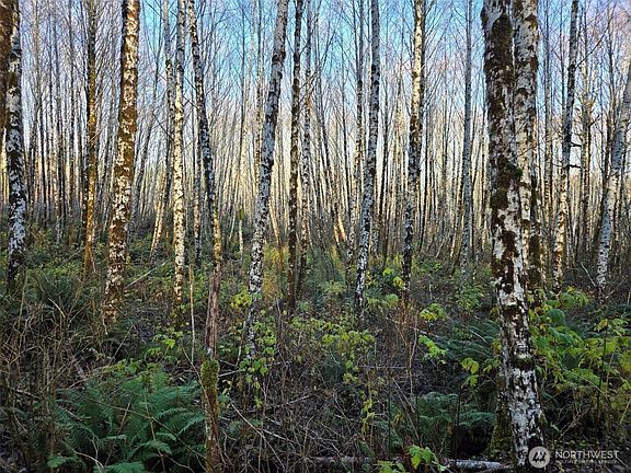 4th image of 0 MP 15.8 North River Road