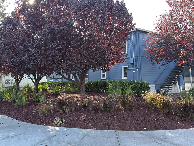 675 Johanna Ave #3 — Photo 18