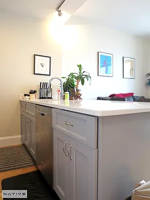 Rented by Native Real Estate LLC | media 29