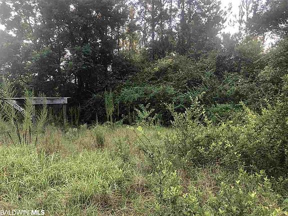 4th image of 25918 Pinecrest Cir