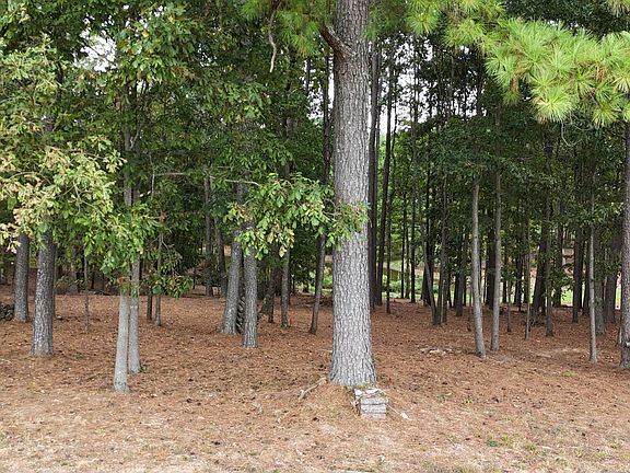 5th image of 0 Beard Rd Lot 3