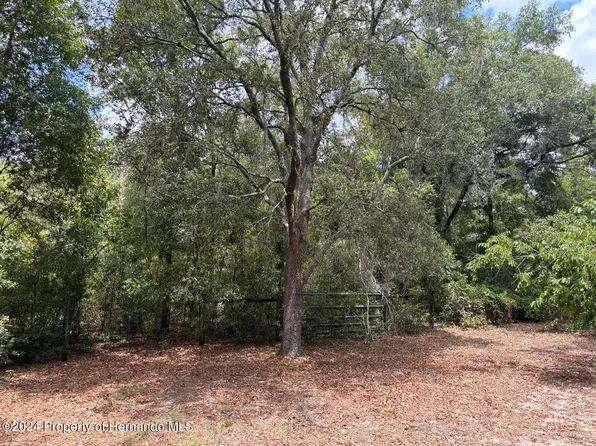 Remington Rd, Brooksville, FL 34602