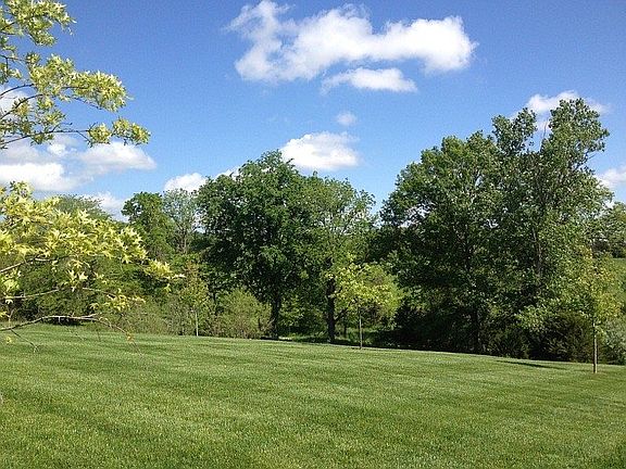 What a backyard view!