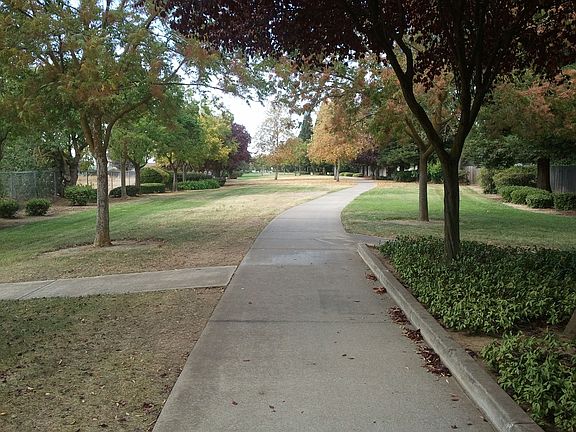 view in park