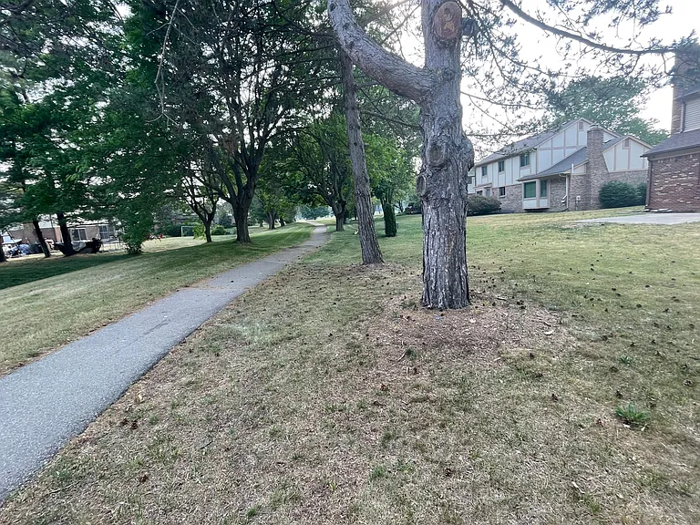 720 Shelley Dr — Photo 32