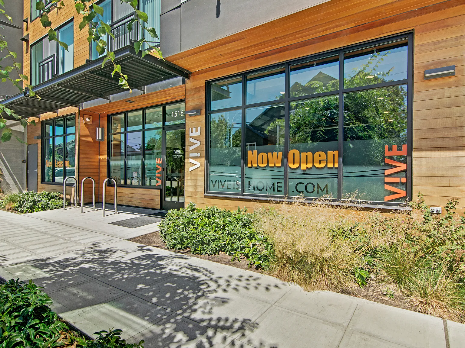 Vive Ballard — Photo 3