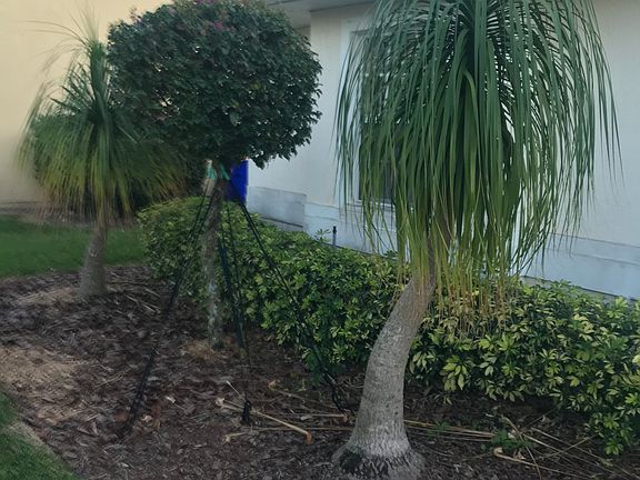 5th image of 4092 San Beluga Way