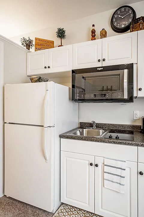 1 bed, 310 sqft, $915 — Photo 3