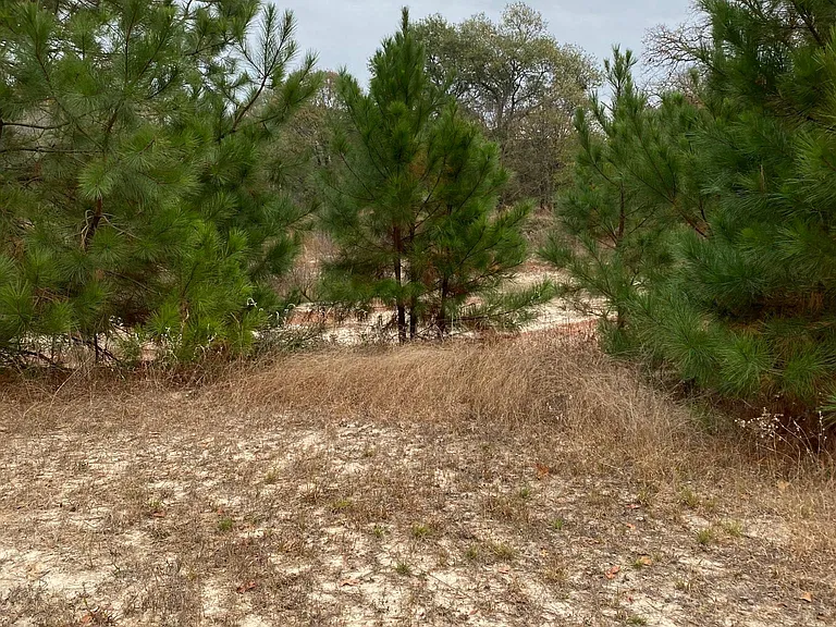 23632 Interstate Highway 20 — Photo 15