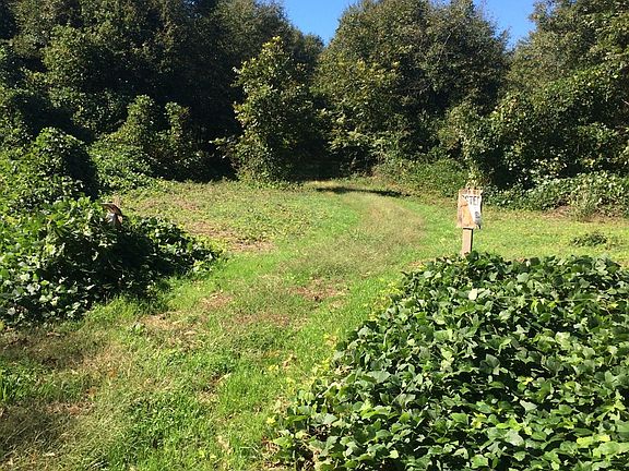 Broad River Greenway 1 mile 