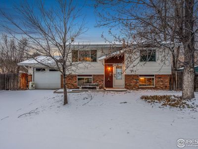 803 Table Mountain Ct, Windsor, CO, 80550