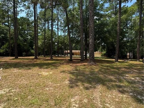 0 Little John Dr, Reidsville, GA 30453
