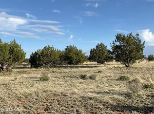 3672 W Singletree Rd #339, Williams, AZ 86046