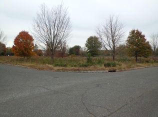 1 Air Dancer Ln, Colts Neck, NJ 07722