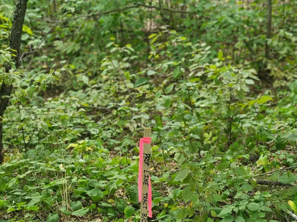 TRACT Richfield Rd SW #B, Pillager, MN 56473