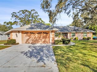 9111 Blaine Rd, Spring Hill, FL 34608