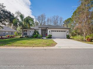 10169 Lenox Blvd, Weeki Wachee, FL 34613