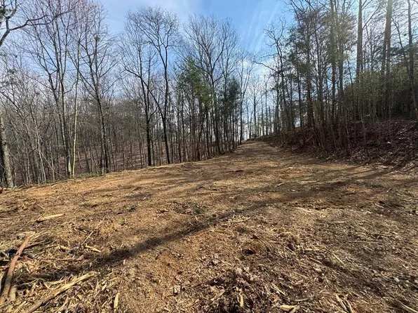 1450 Hanna Dr #1450, Ranger, GA 30734