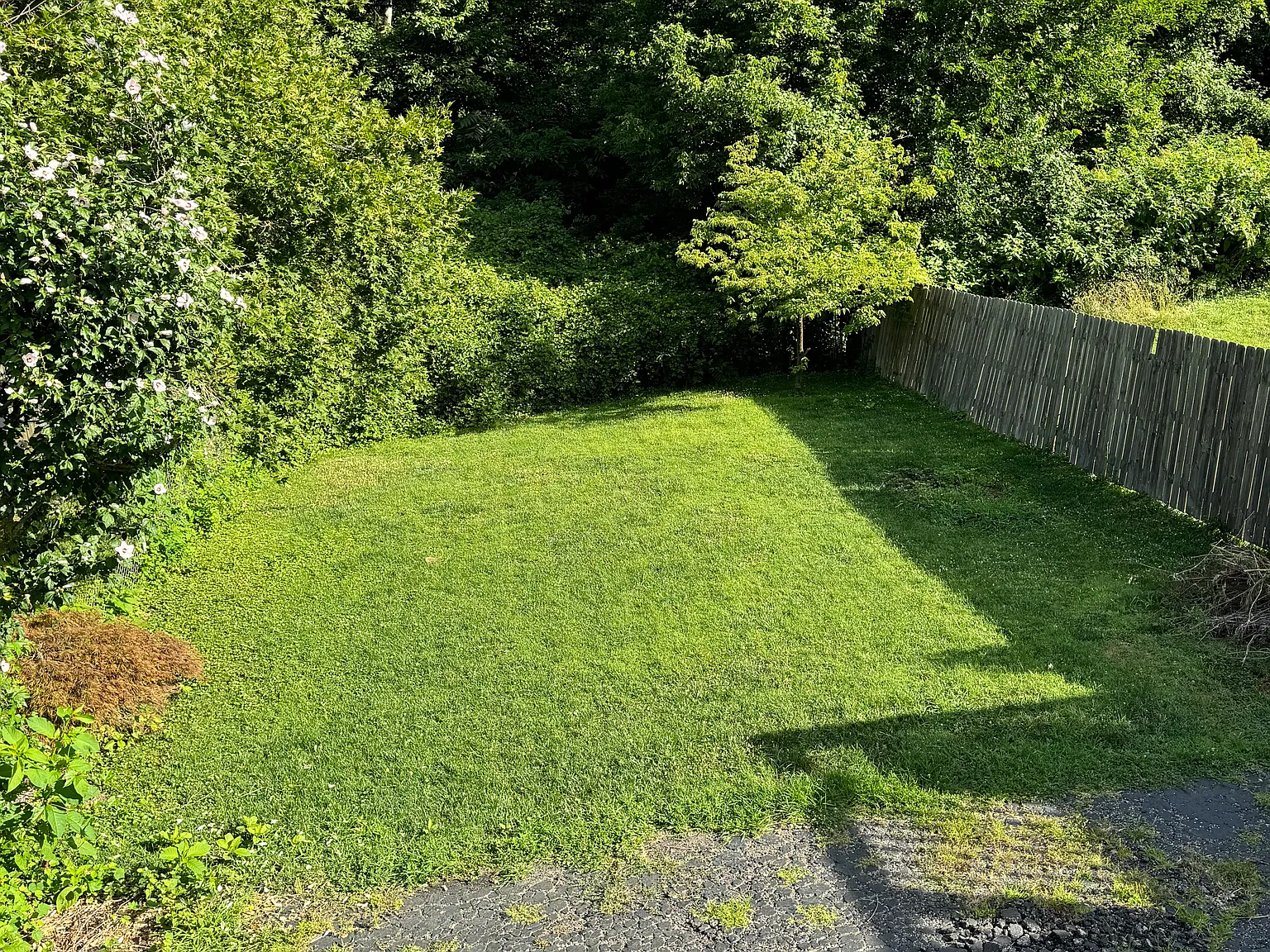 3 bed, 1.5 bath, 1260 sqft, $1,895 — Photo 4